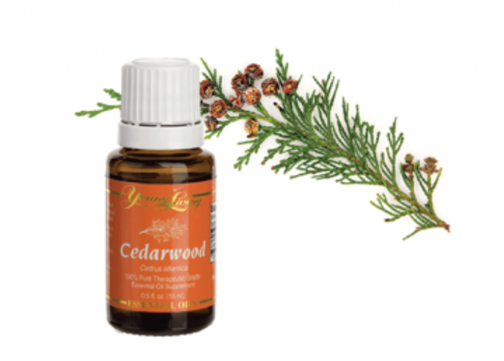 Cedar leaf oil