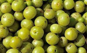 Amla (Indian Gooseberry)