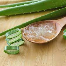 Aloe Barbadensis Leaf Juice